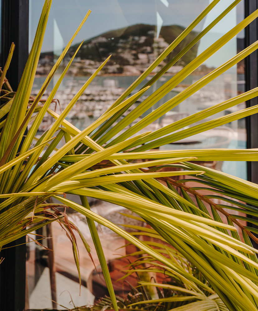 vivienda turística invierno Ibiza