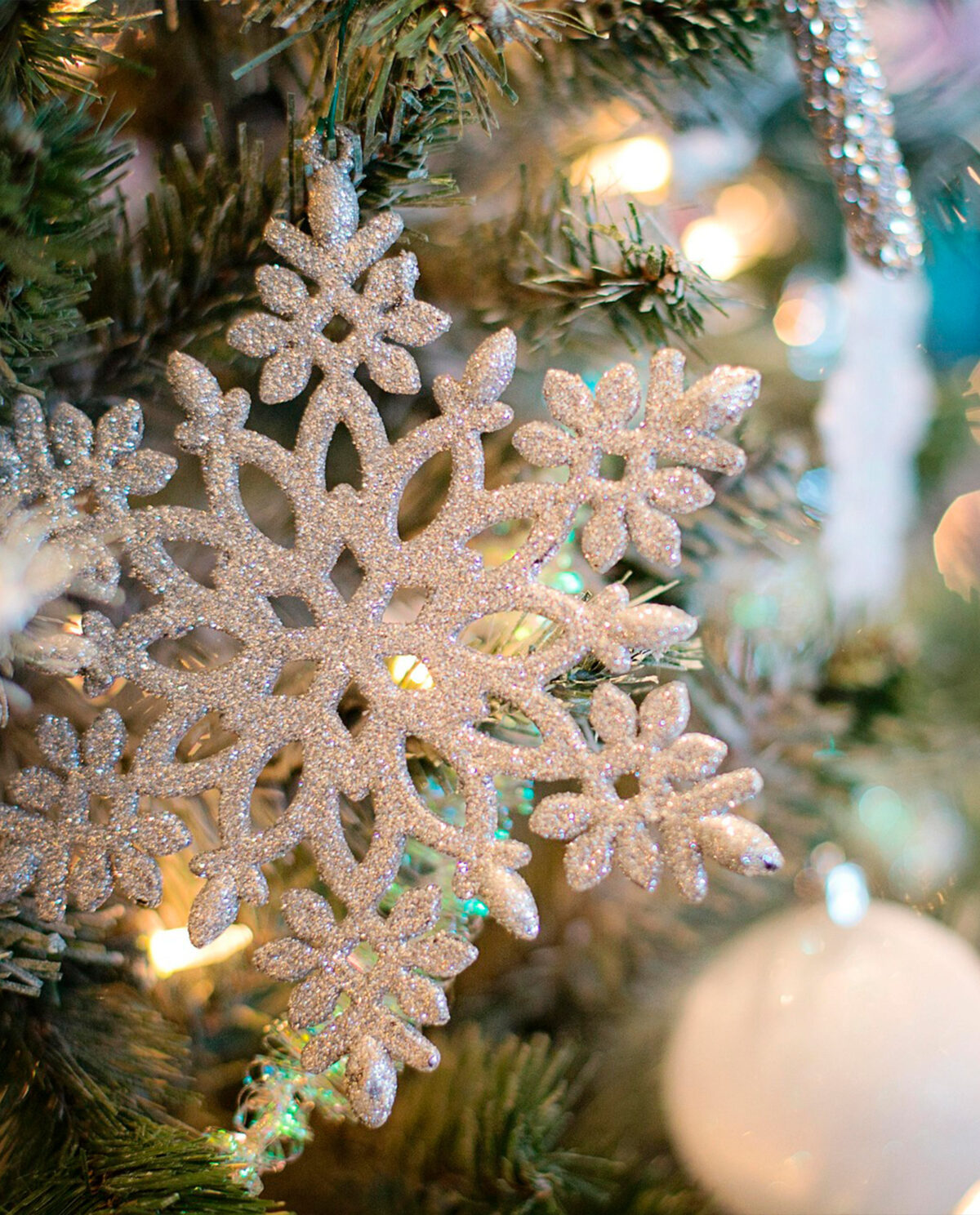 Navidad en Ibiza experiencias mediterráneas